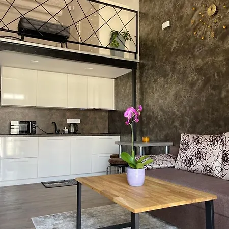 Apartament Radio Loft Kowno